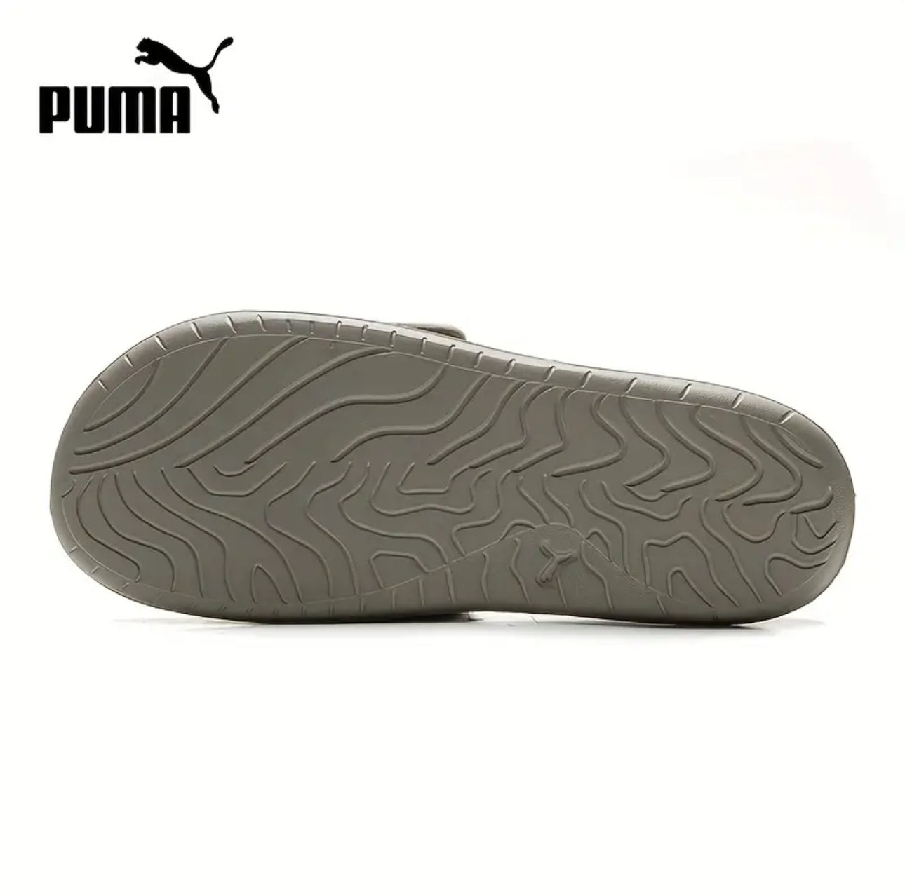 Puma Royalcat Comfort 2 Dust