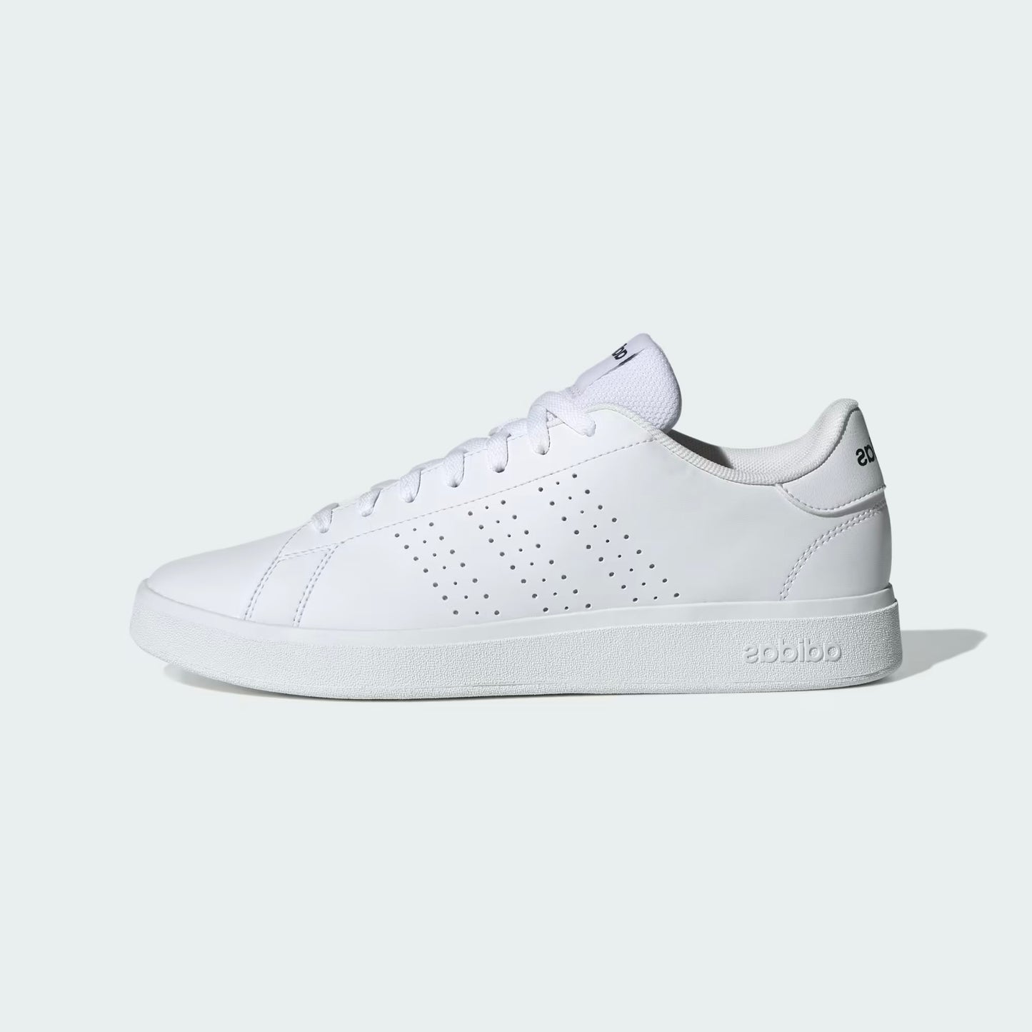 Adidas Advantage base White