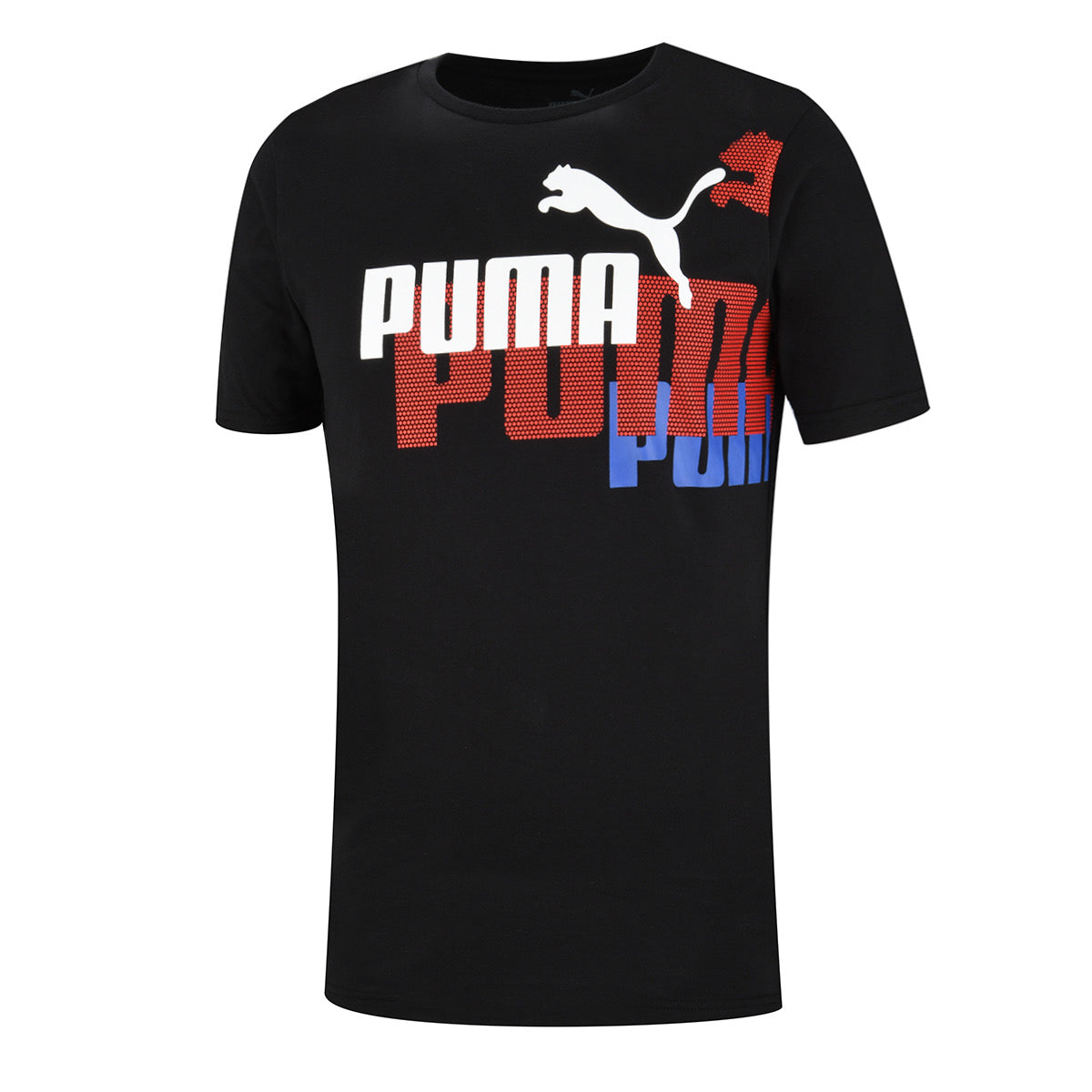 Ensemble PUMA ESS+ LOGO Power Plus