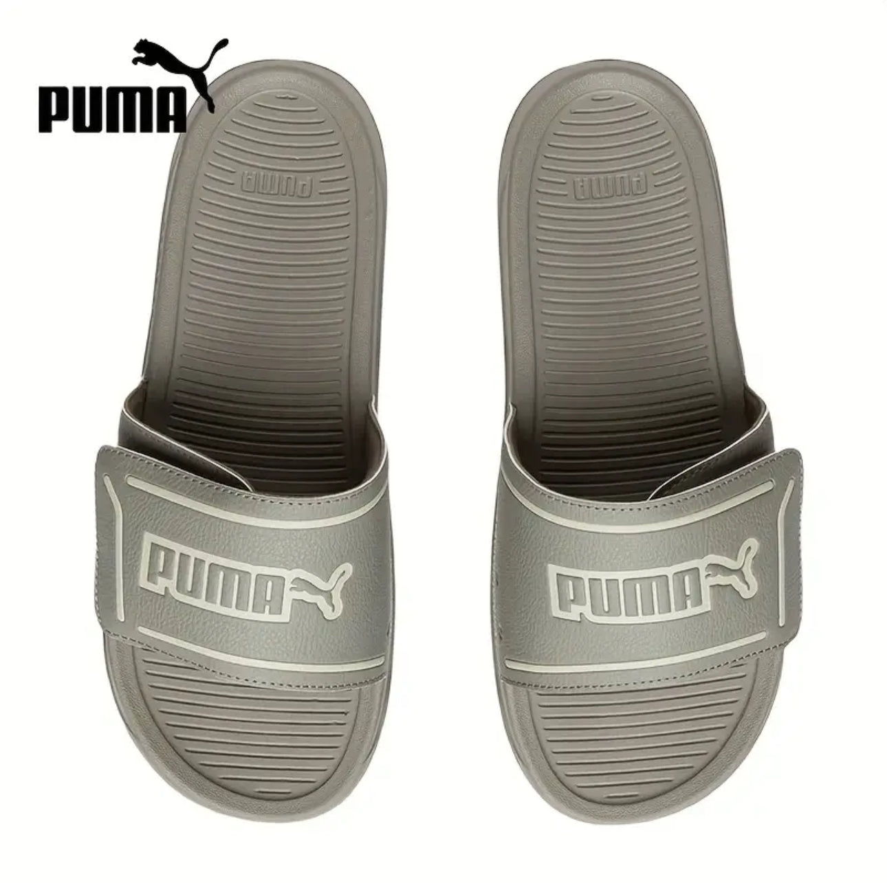 Puma Royalcat Comfort 2 Dust