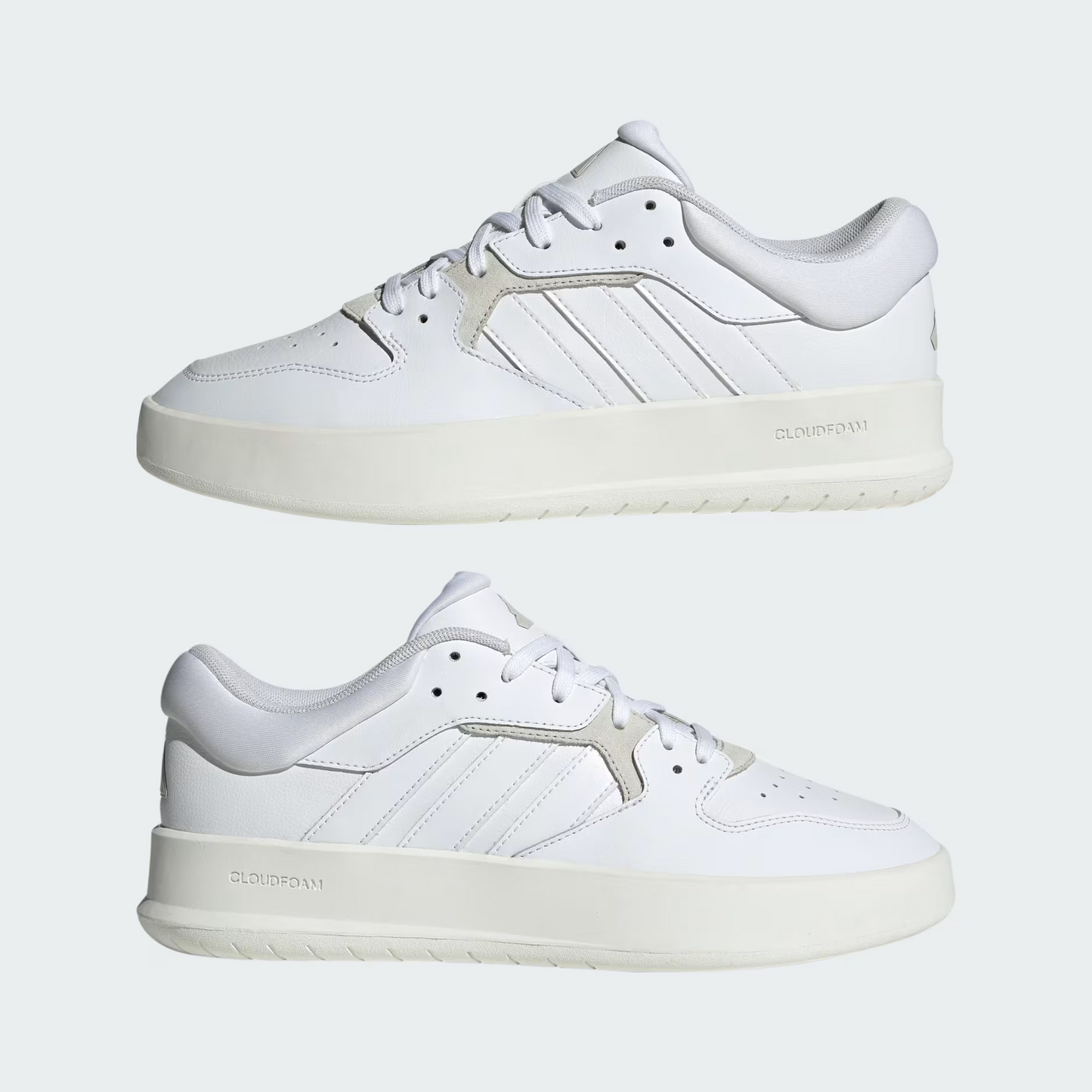 Adidas Court 24 WHITE